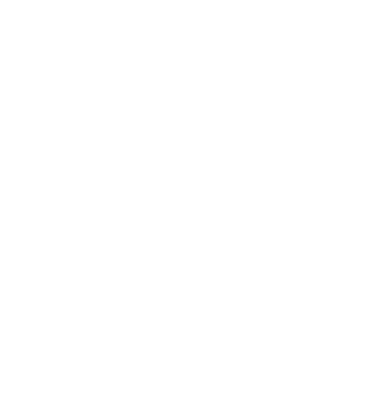 G8S